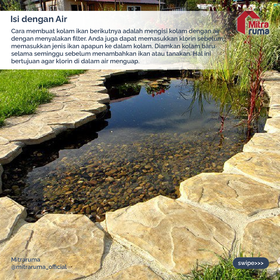 Cara Membuat Kolam Ikan Mini Sederhana | Mitraruma